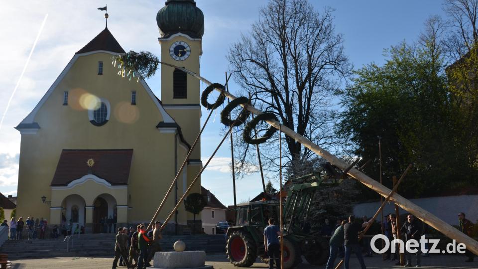 Mit Muskelkraft stellten die KLJB-Mitglieder mit den Männern aus dem Ortsteil den Maiboten auf dem Dorfplatz vor der Benefiziumskirche St. Johannes Nepomuk auf. Bild: dob