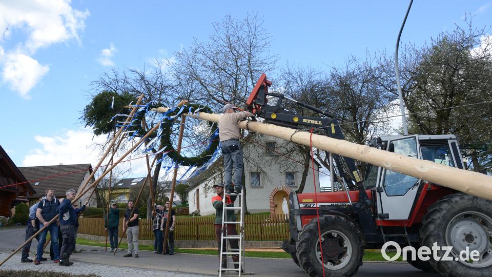 Maibaumaufstellen Vöslesrieth Bild: bey