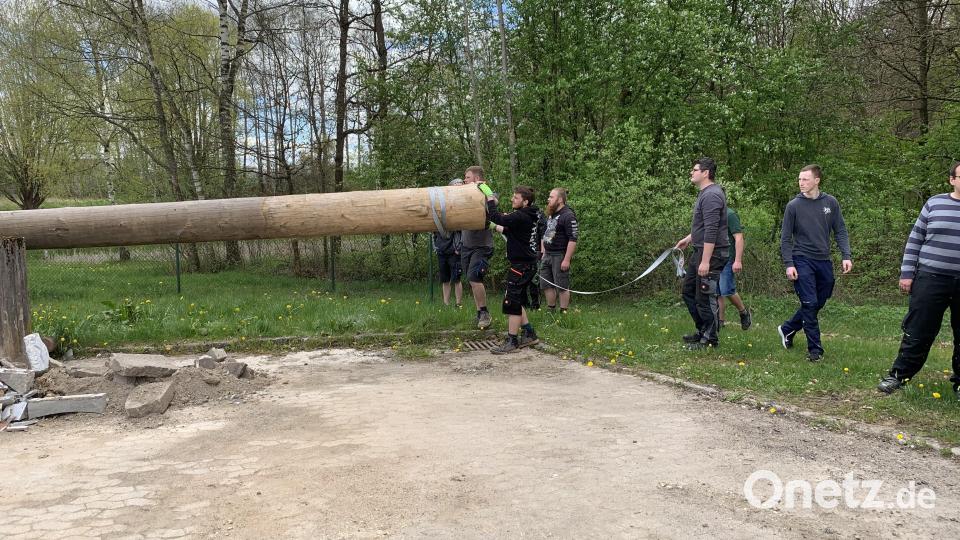 Mit Hilfe von Traktor und Bagger wurde der Maibaum transportiert und aufgestellt. Bild: adj
