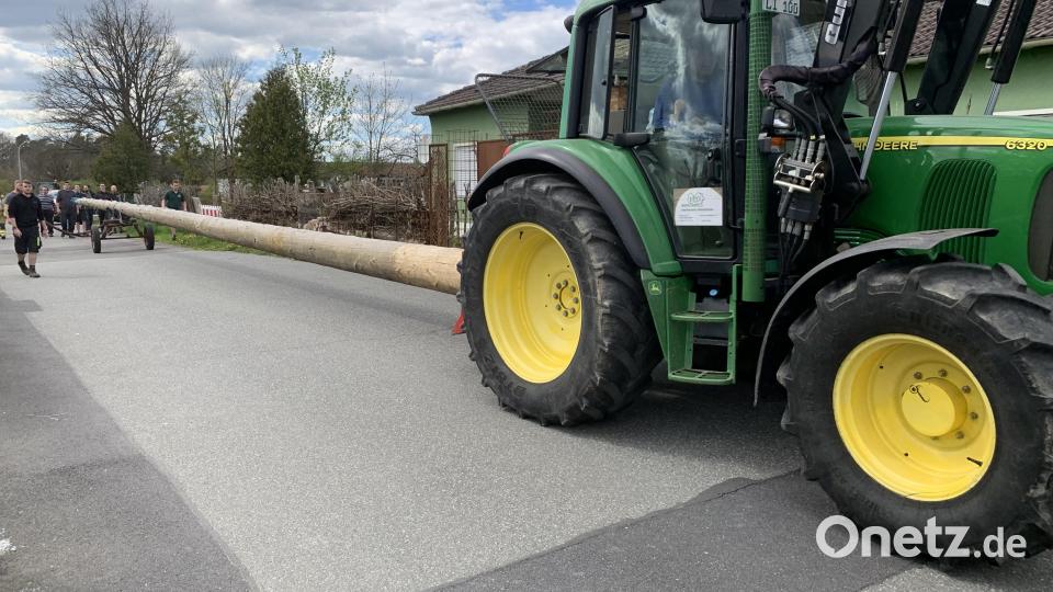 Mit Hilfe von Traktor und Bagger wurde der Maibaum transportiert und aufgestellt. Bild: adj