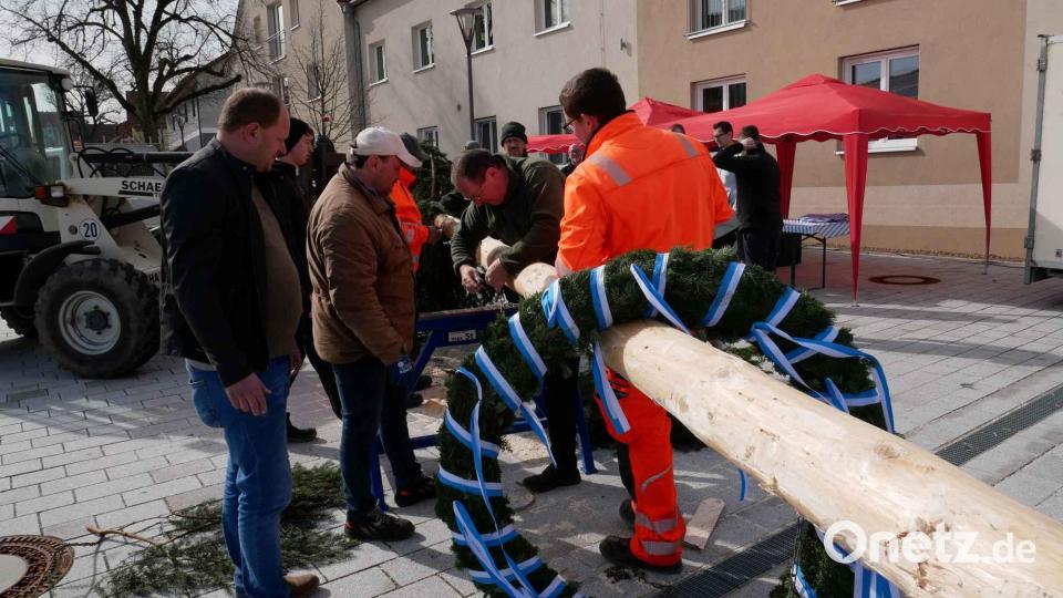 In einer solidarischen Arbeitsgemeinschaft zeichneten Mitarbeiter vom Gemeindebauhof, Mitglieder der Freiwilligen Feuerwehr und des SPD-Ortsvereins unter Organisationsleiter Marktrat Georg Zierer für das Aufstellen des Maibaumes verantwortlich. Maschinell unterstützte zweiter Bürgermeister Thomas Kleber. Bild: gz