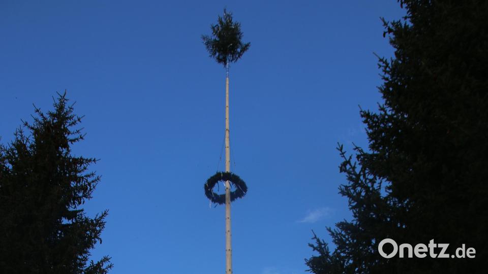 Der Maibaum in Pressath. Bild: sne