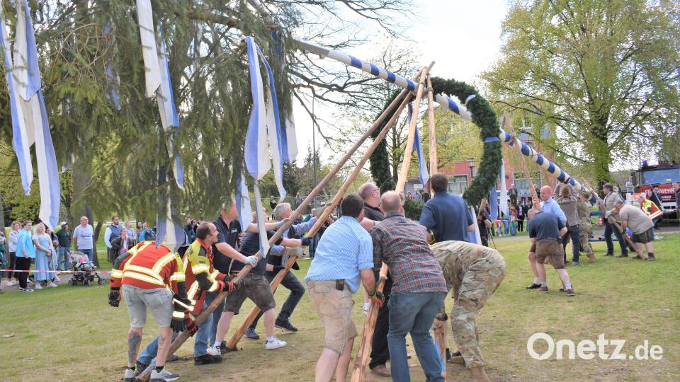Viele Hände packen in Grafenwöhr beim Aufstellen des Maibaumes mit an. Bild: rgr