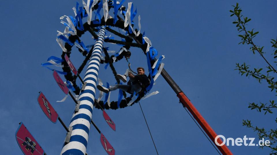Thomas Koller dekoriert den Schirmitzer Maibaum in schwindelerregender Höhe. Bild: hcz
