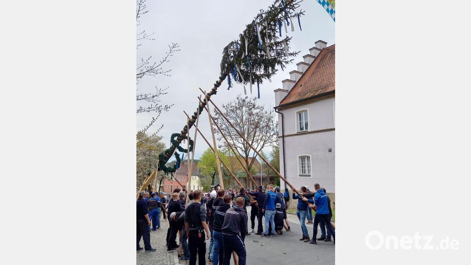 Maibaum Püchersreuth Bild: tok