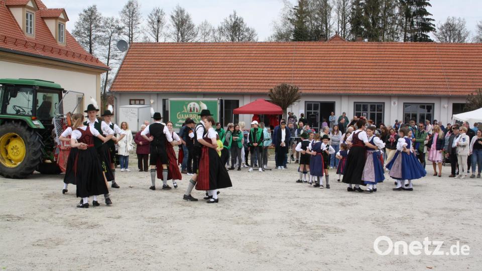 Alle Register ihres Repertoires zogen die Tanzgruppen des Trachtenvereins "Haidnaabtaler", um den "Wonnemonat" mit Polkas und Plattlern willkommen zu heißen. Bild: bjp