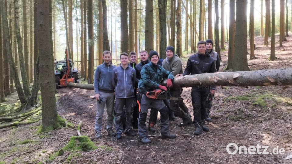 Die Feuerwehrmänner der Spielberger Wehr mit dem mächtigen neuen Maibaum 2023. Bild: fvo