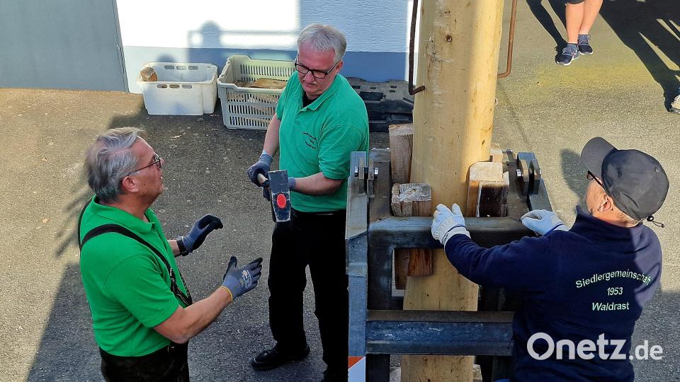Der Vorsitzende Thomas Reich (links) mit seinem Stellvertreter Thomas Huber (rechts) und einigen Helfern verkeilen den Baum. Bild: R. Kreuzer