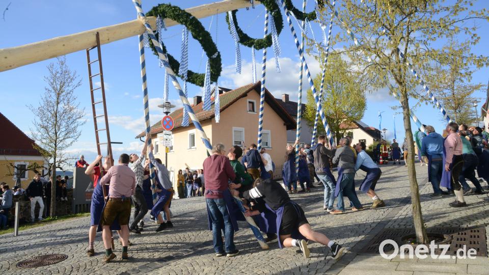 Der Maibaum wird mit Schwalben ganz traditionell in die Senkrechte gehievt. Bild: bey
