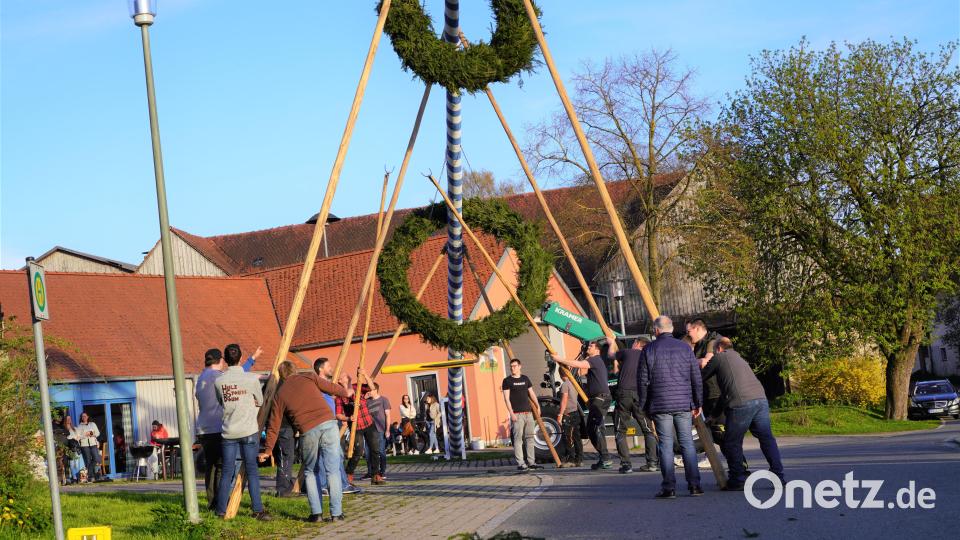 Maibaumaufstellen in Albersrieth - Die starken Männer aus Albersrieth Bild: fvo