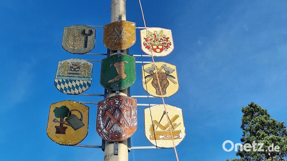Ein Blick in den Himmel zur Krone des Maibaums in Weiden-West. Zuvor hatten die Helfer die Tafeln mit den Zunftzeichen der beheimateten Handwerker und der Vereine angeschraubt. Bild: R. Kreuzer