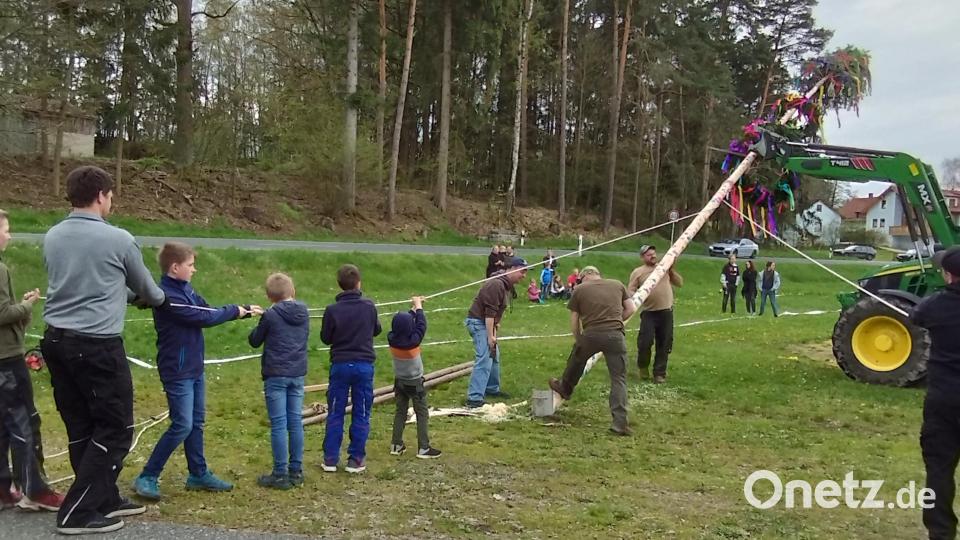 Nach dem großen Exemplar wurde in Beidl der Kindermaibaum aufgestellt. Bild: jba