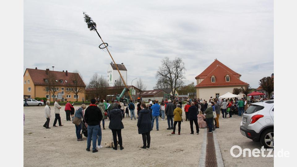 30 Meter ragt der Maibaum auf dem Trabitzer Sägeplatz in die Höhe - einer von sieben Frühlingsbäumen in der Gemeinde. Bild: bjp