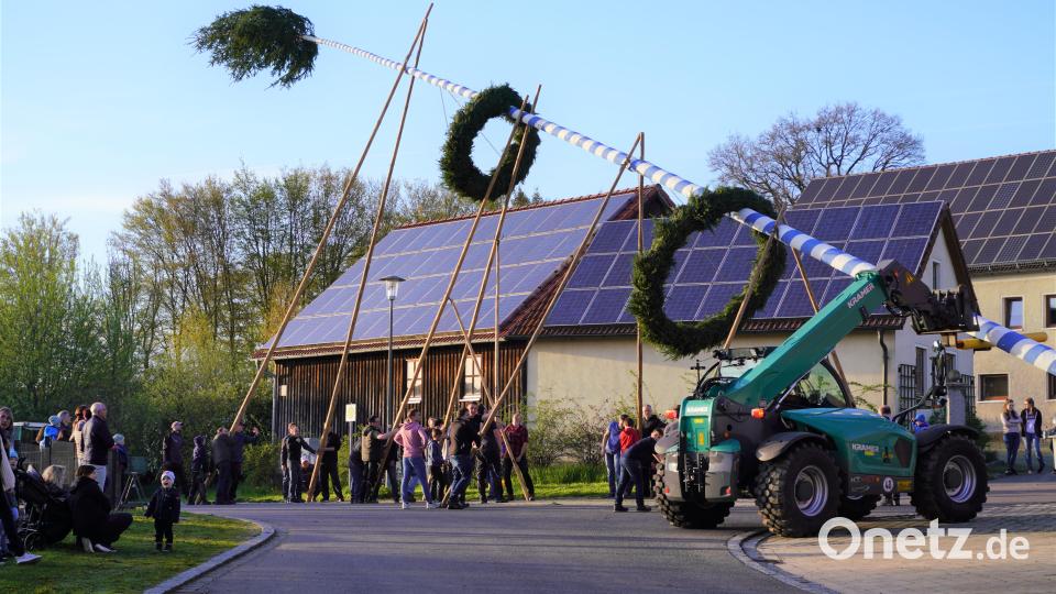 Maibaumaufstellen in Albersrieth - Die starken Männer aus Albersrieth Bild: fvo