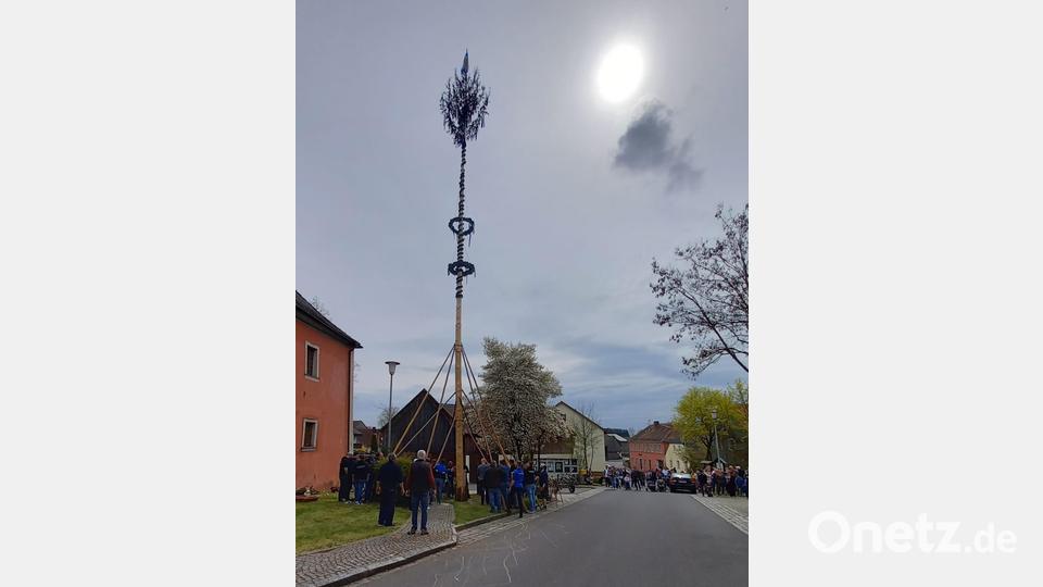 Maibaum Püchersreuth Bild: tok