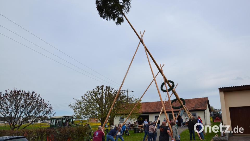 Nach alter Tradition wurde ein Maibaum am Siedlerhaus aufgestellt. Der Frühlingsbote wurde anschließend durch zahlreiche Besucher gebührend gefeiert. Bild: gi