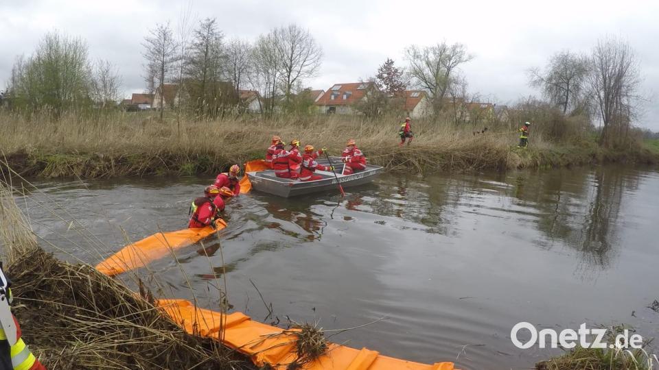 In den Vilsauen in Vilseck übten Feuerwehrkräfte für den Ernstfall. Bild: lei