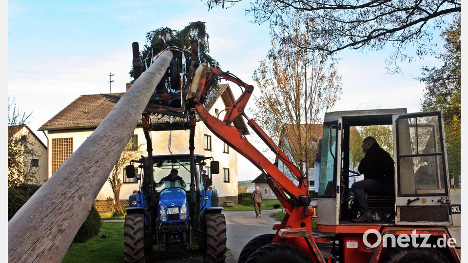 Der Maibaum wird von zwei Traktoren in die Höhe gehievt. Bild: R. Kreuzer