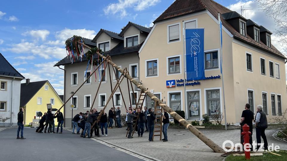Die starken Männer von Kastl hieven den Maibaum in die Höhe. Bild: rpp