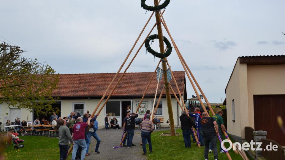 Nach alter Tradition wurde ein Maibaum am Siedlerhaus aufgestellt. Der Frühlingsbote wurde anschließend durch zahlreiche Besucher gebührend gefeiert. Bild: gi