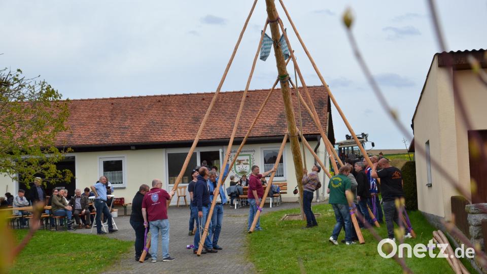 Nach alter Tradition wurde ein Maibaum am Siedlerhaus aufgestellt. Der Frühlingsbote wurde anschließend durch zahlreiche Besucher gebührend gefeiert. Bild: gi