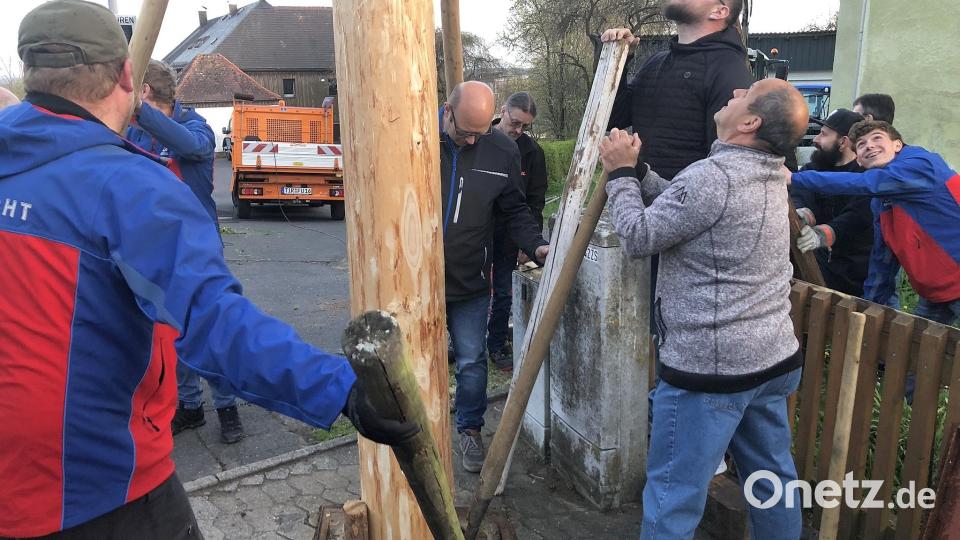 Fest verankert schmückt der Fuchsmühler Maibaum seit Sonntagabend die Ortsmitte. Bild: wro