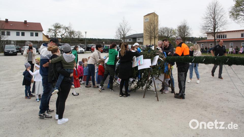 Außer bunten Bändern zieren auch Bilder der Kita-Kinder die Maibaumkrone. Bild: bjp