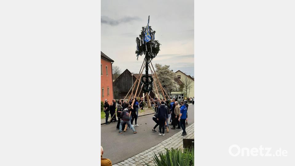 Maibaum Püchersreuth Bild: tok