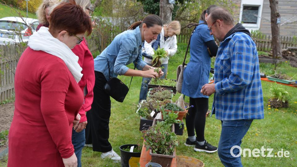 Großen Anklang fand am Montagnachmittag die Pflanzentauschbörse, die alljährlich zur Saisoneröffnung im Resl-Garten stattfindet. Bild: jr