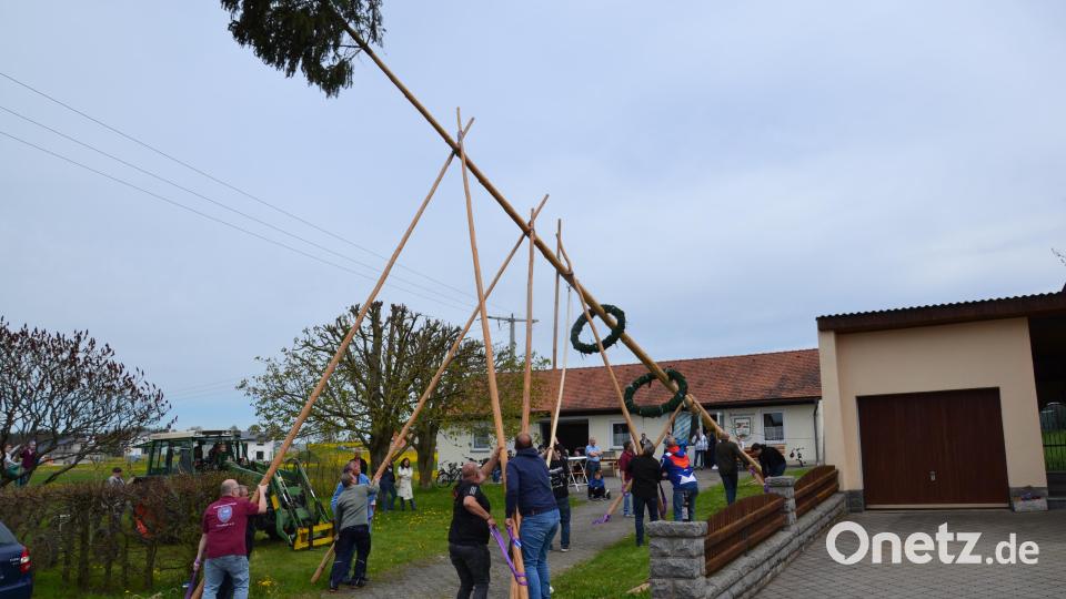 Nach alter Tradition wurde ein Maibaum am Siedlerhaus aufgestellt. Der Frühlingsbote wurde anschließend durch zahlreiche Besucher gebührend gefeiert. Bild: gi