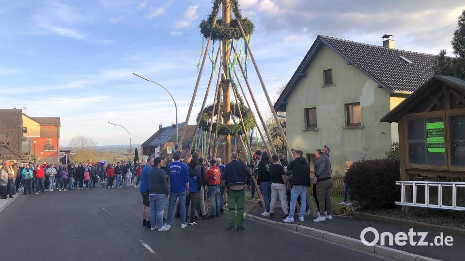 Der Maibaum in Fuchsmühl wird per Hand aufstellt. Bild: wro