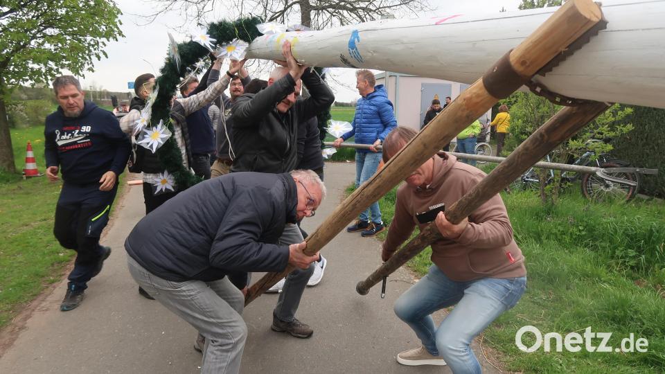 Bei den Krumme-Äcker-Siedlern wird der Baum noch mit Muskelkraft angeschoben. Bild: Kunz