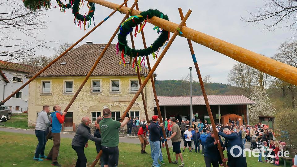 Nur mit Schwalben und Muskelkraft wurde im Ortsteil Frauenreuth der Gemeinde Friedenfels der Maibaum aufgestellt. Bild: bsc