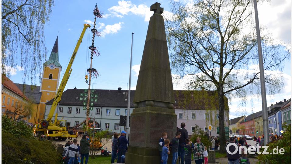 Aus Sicherheitsgründen wird der Maibaum der Vereinsgemeinschaft Waidhaus mit einem Kran aufgestellt. Bild: exb/Siegfried Zeug