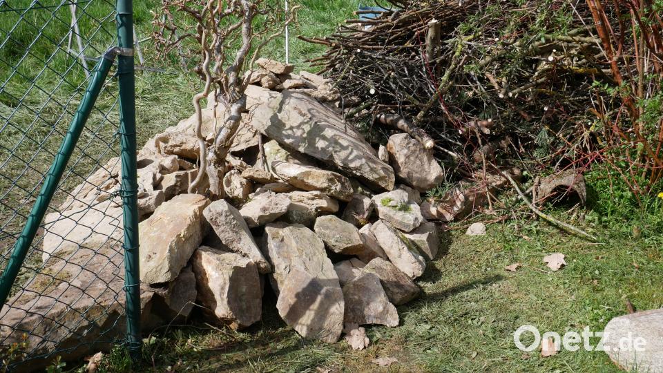 Jeweils am Anfang und Ende der Hecke wurde ein Steinaufwurf angelegt. Bild: hmr