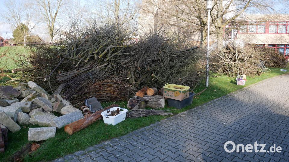 Sechs Lkw-Ladungen Baum- und Strauchschnittgut hatten die Mitarbeiter der städtischen Bauhöfe von Mitterteich und Waldsassen vom Freizeithugl in Großbüchlberg herangeschafft. Bild: hmr