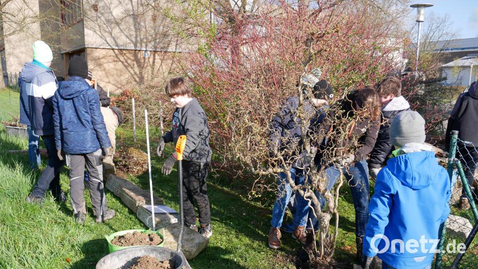 Gleich zu Unterrichtsbeginn legten die Schüler in aller Frische bei fünf Grad Außentemperatur mit viel Elan los. Bild: hmr