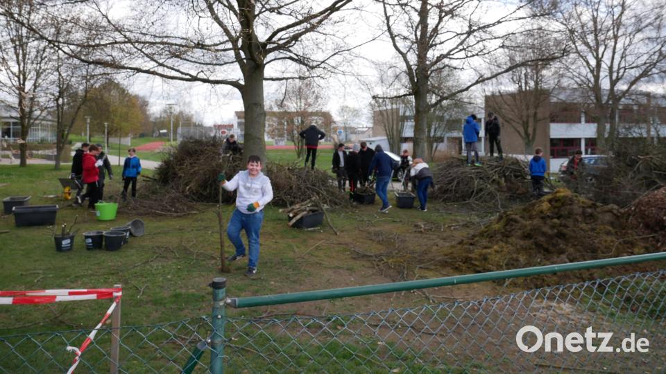 Viel Ehrgeiz und Einfallsreichtum entwickelten die Arbeitsgruppen beim Zerkleinern des Schnittguts. Bild: hmr