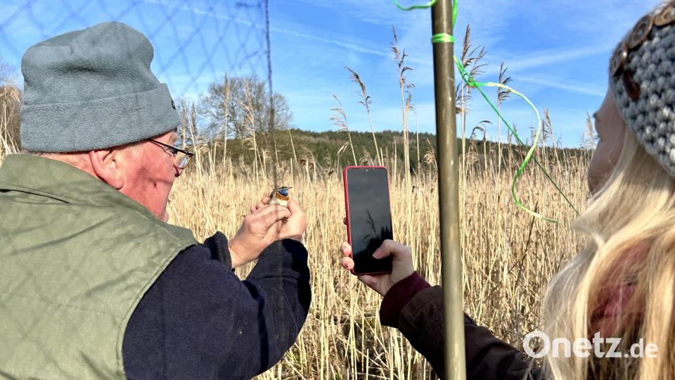 Vogelexkursion in den Český les (Böhmischer Wald) in die Schwarzachauen bei Nemanice (Wassersuppen) Bild: eib