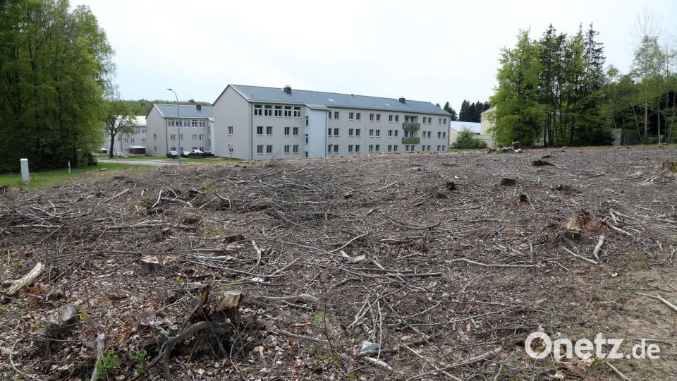 Die Fläche für die neue Sporthalle ist gerodet. Das Gebäude darunter wird für einen vierstöckigen Ersatzbau „Unterkunft“ abgerissen. Bild: Gerhard Götz