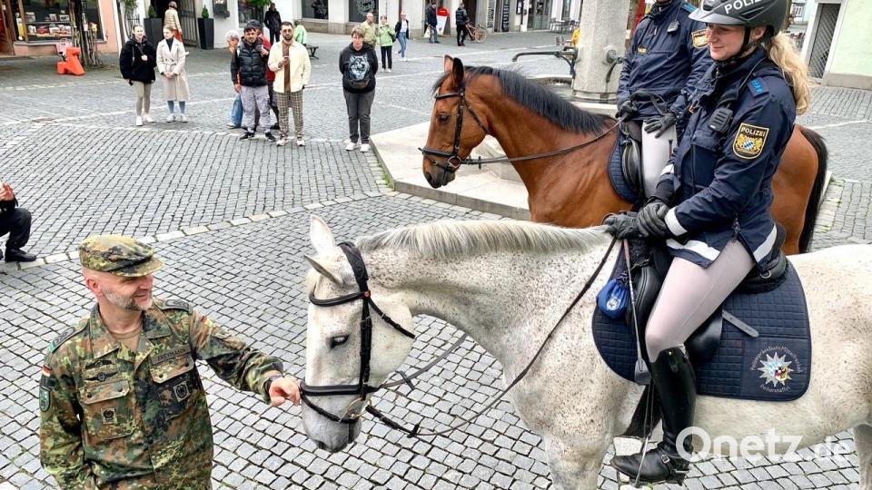 Die Reiterstaffel der Polizei gibt es nicht so oft im Stadtbild von Weiden zu sehen. Bild: Gabi Schönberger