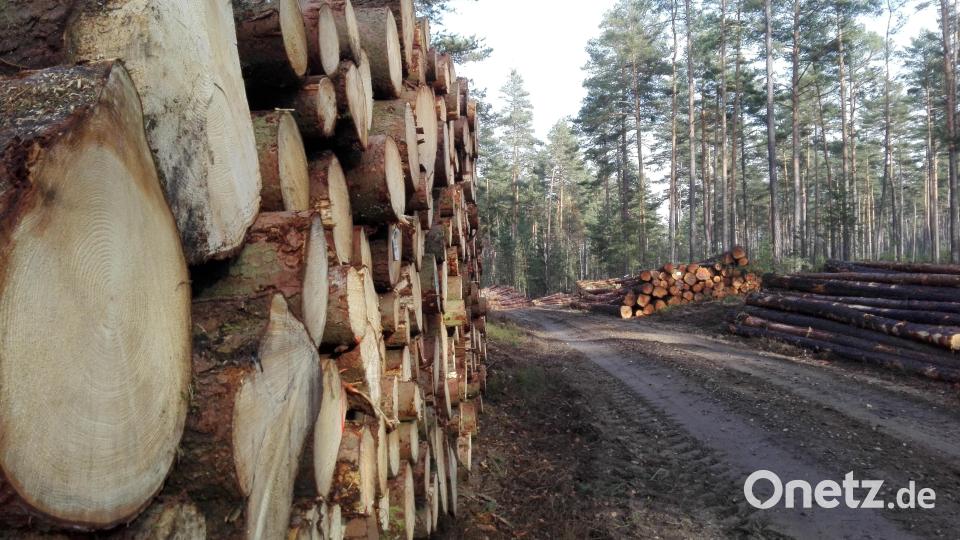 Die Forstbetriebsgemeinschaft Kemnath erwartet sinkende Preise für Rundholz. Bild: shl