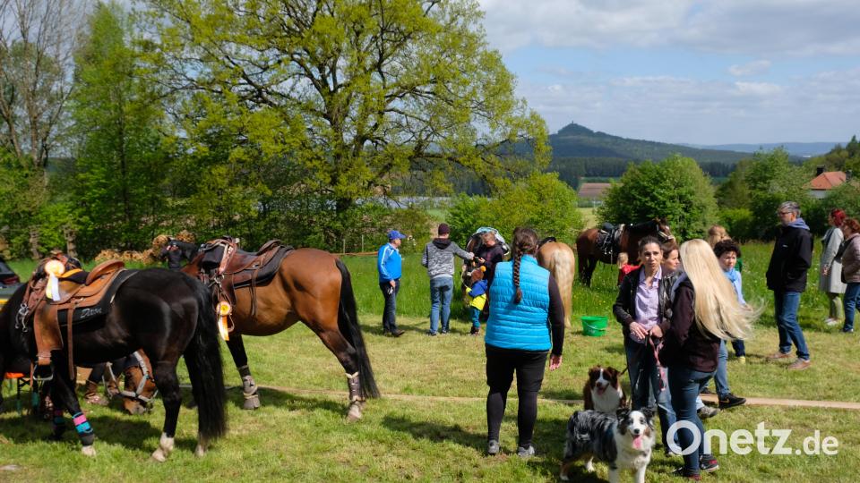 Auch das Panorama mit dem Kraftberg des Rauhen Kulms begleitet die Besuchermassen Bild: do