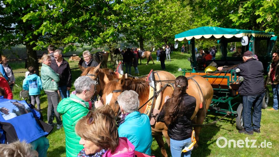 Stets umlagert ist die Kutsche von Werner Schreml aus Eschenbach Bild: do