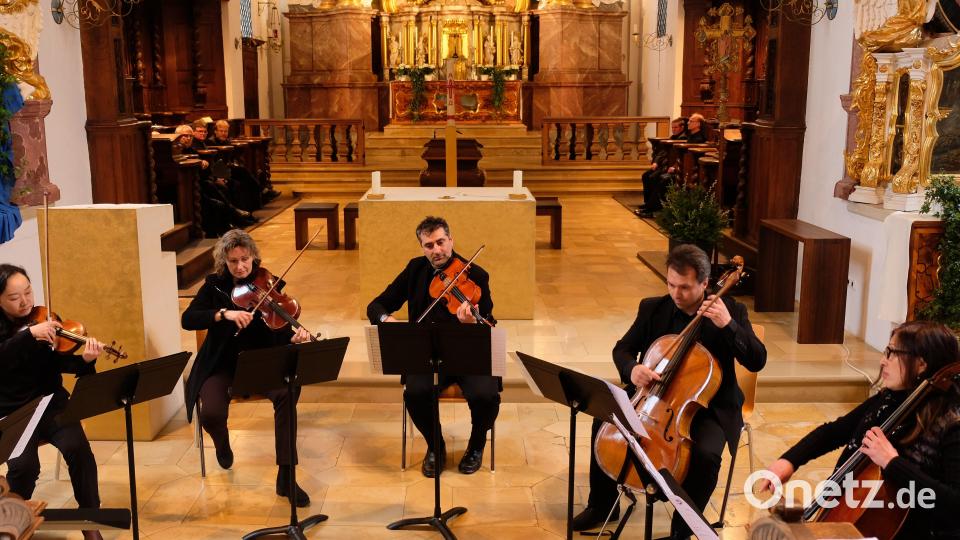 Mitglieder der Hofer Symphoniker beim Konzert in Speinshart. Bild: do
