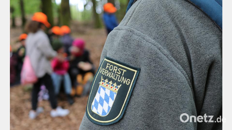 Waldjugendspiele Pfaben 2023 Bild: Constanze Callens/exb