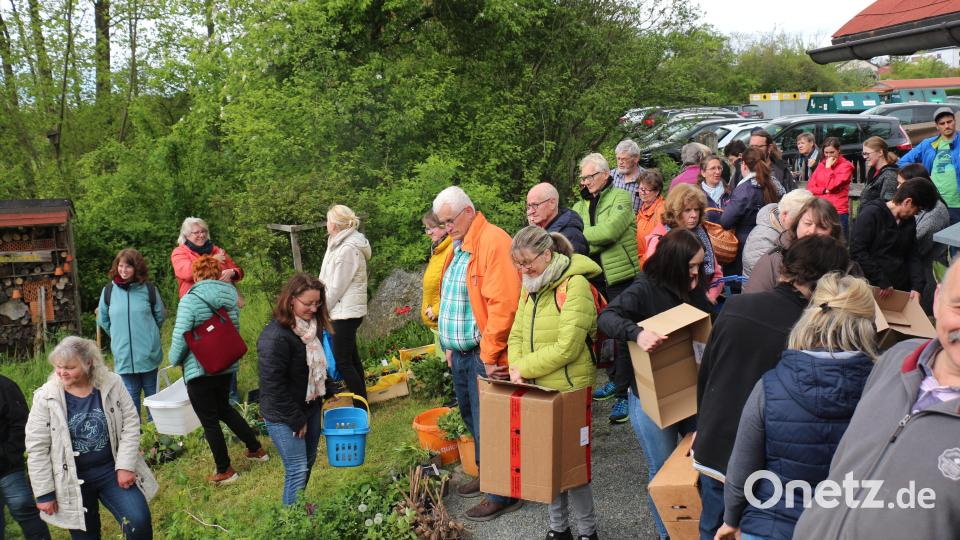 Es wimmelte wie in einem Bienenstock. Die einen suchten, die anderen gaben Pflanzenableger und berieten die Gäste. Bild: rpp