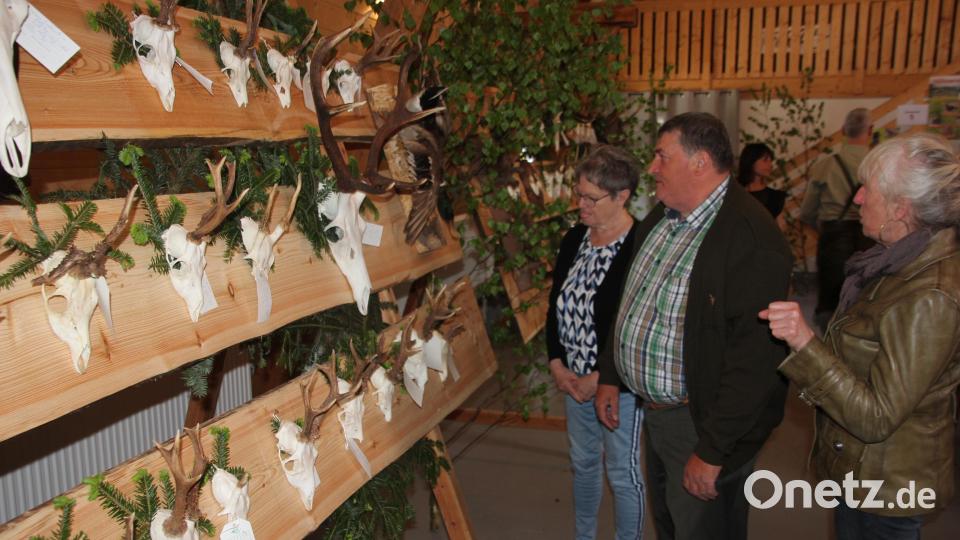 Die Pflicht-Trophäenschau durfte natürlich nicht fehlen. Bild: kro