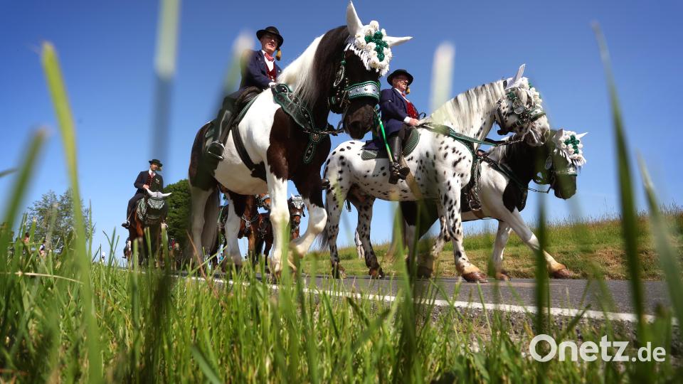 Teilnehmer des Kötztinger Pfingstritts reiten mit ihren Pferden auf einer Straße. Bild: Karl-Josef Hildenbrand/dpa
