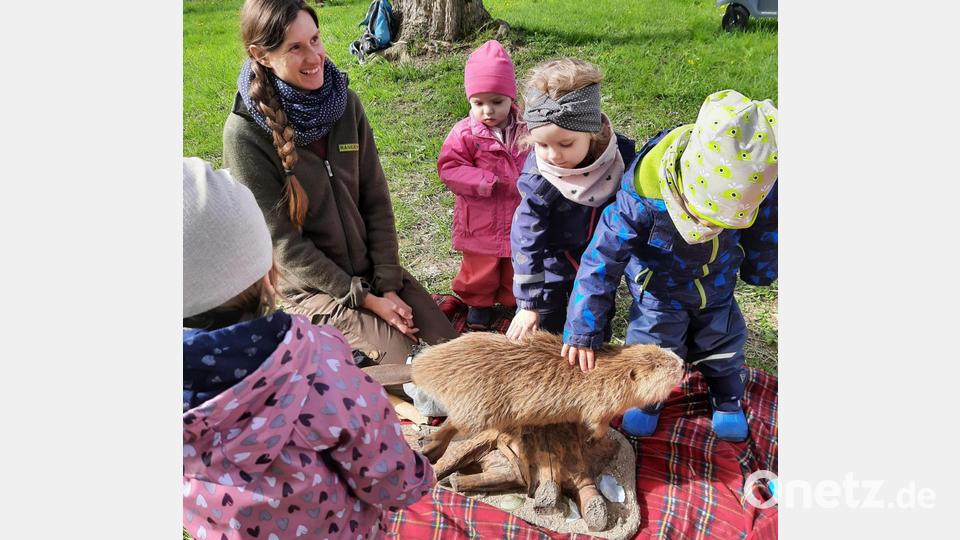 Die Krippenkinder lernten am Naturbegegnungstag viel Wissenswertes über den Biber anhand eines ausgestopften Exemplars. Bild: Kielhorn/exb
